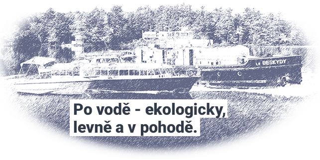 Historie organizace